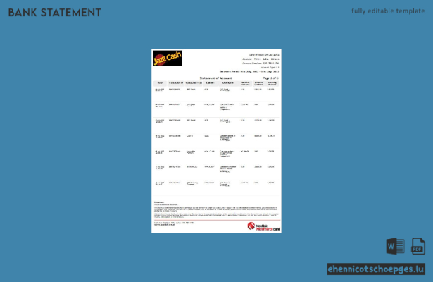 Kontoauszug von Jazz Cash India (Word-Format, 6 Seiten), Beispielvorschau